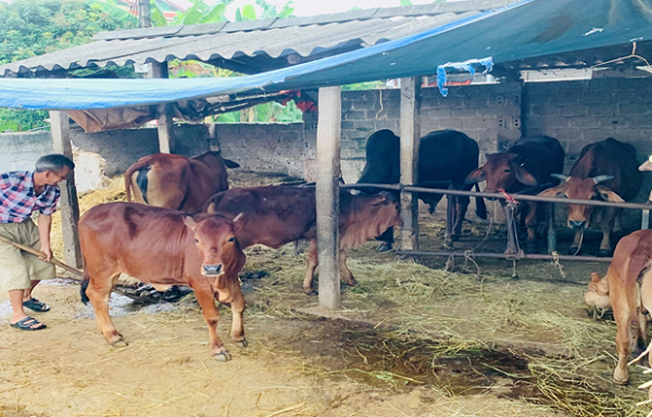 Hội Nông Dân xã Bắc Sơn đã phát huy vai trò ủy thác nguồn vốn từ Ngân hàng Chính sách xã hội